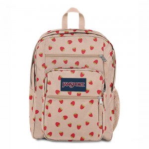 JanSport BIG STUDENT Ruksaci Laptop Ruksak Roze Crvene | HRZPD99582