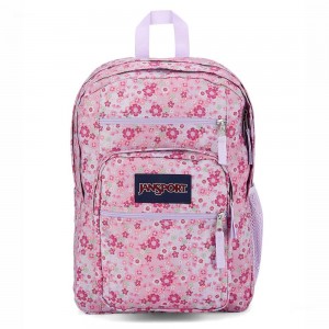 JanSport BIG STUDENT Ruksaci Laptop Ruksak Roze | HRQCS27564