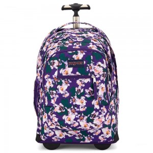 JanSport Driver 8 Rolling Ruksaci Laptop Ruksak Ljubičaste | QHRWA91860