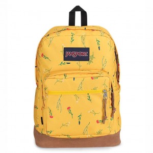 JanSport Right Pack Ruksaci Laptop Ruksak Žute | HRXMI47383