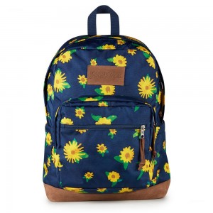 JanSport Right Pack Ruksaci Laptop Ruksak Tamnoplave Žute | SHRVO88388