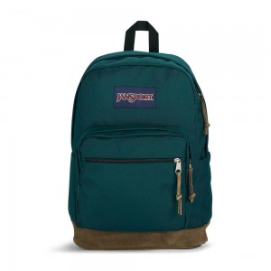 JanSport Right Pack Ruksaci Školske ruksake Tamno Zelene | HRZDE17354