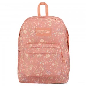 JanSport SuperBreak® Plus Ruksaci Laptop Ruksak Roze | HRZDE30021