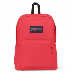 JanSport SuperBreak® Plus Ruksaci Laptop Ruksak Roze | ZHRMJ65362