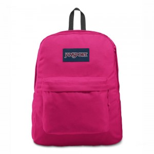 JanSport SuperBreak® Plus Ruksaci Laptop Ruksak Ljubičaste | GHREC33396