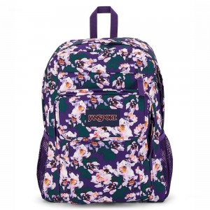 JanSport UNION PACK Ruksaci Laptop Ruksak Ljubičaste | HRQAV88344