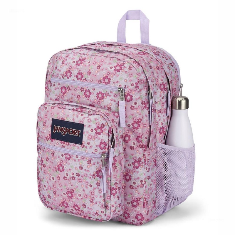 JanSport BIG STUDENT Ruksaci Laptop Ruksak Roze | HRQCS27564