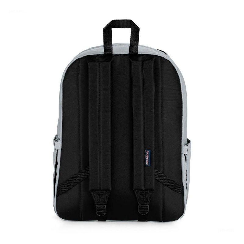 JanSport Double Break Ruksaci Laptop Ruksak Sive | GHRUC73599