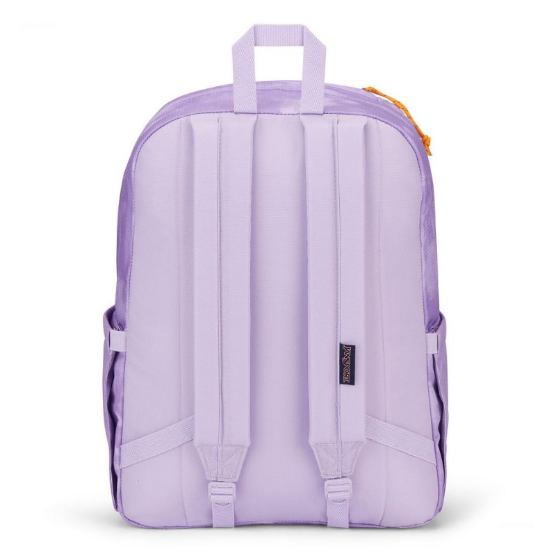 JanSport Double Break Ruksaci Laptop Ruksak Ljubičaste | HRJZR67197