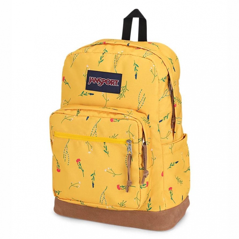 JanSport Right Pack Ruksaci Laptop Ruksak Žute | HRXMI47383