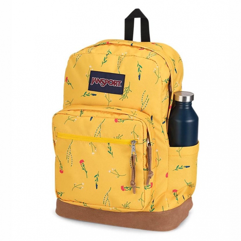 JanSport Right Pack Ruksaci Laptop Ruksak Žute | HRXMI47383