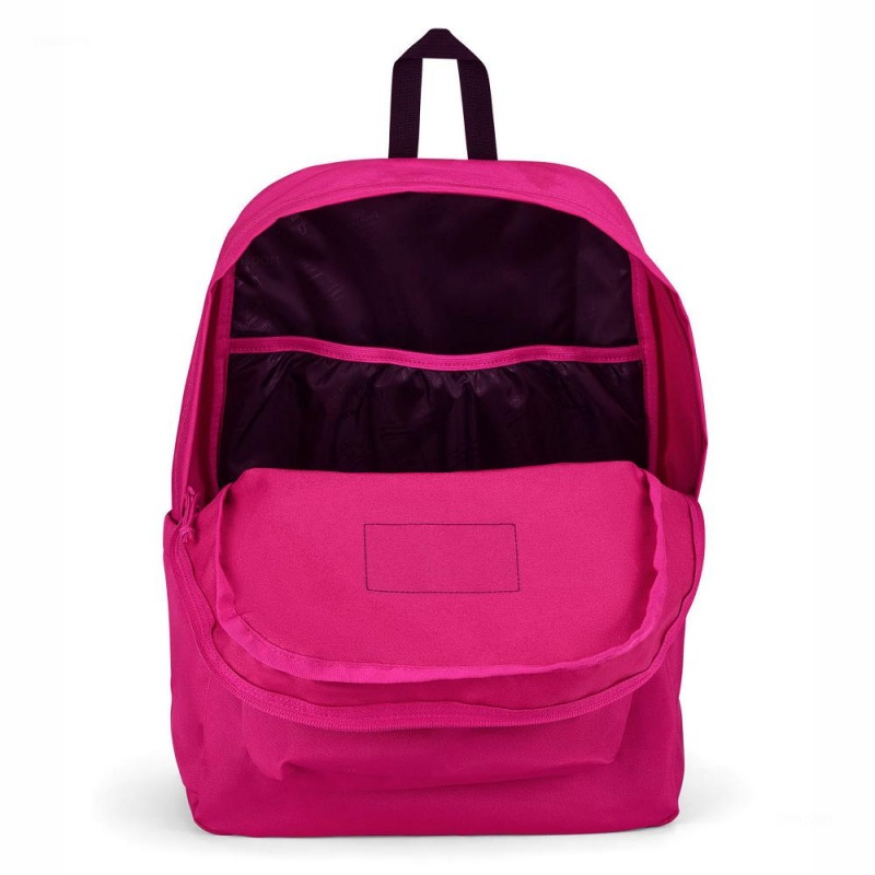 JanSport SuperBreak® Plus Ruksaci Laptop Ruksak Ljubičaste | GHREC33396