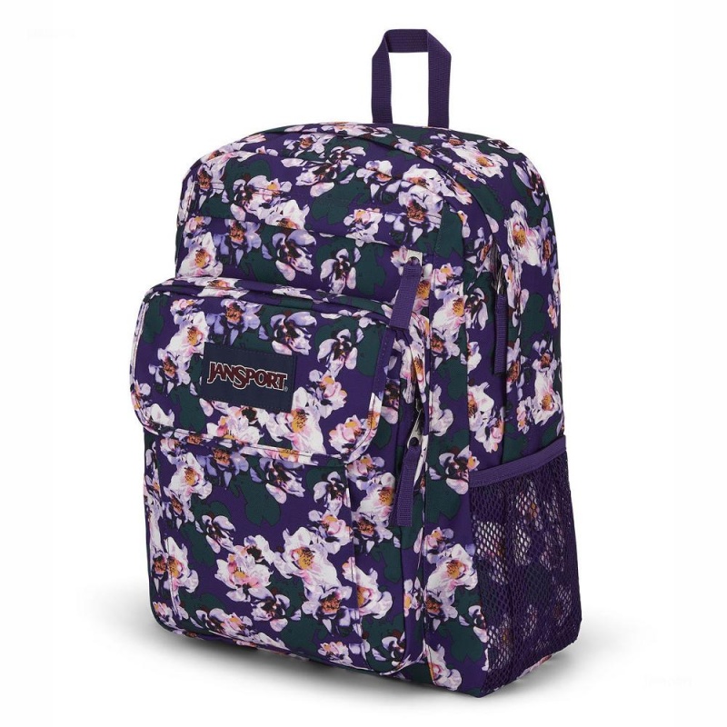 JanSport UNION PACK Ruksaci Laptop Ruksak Ljubičaste | HRQAV88344