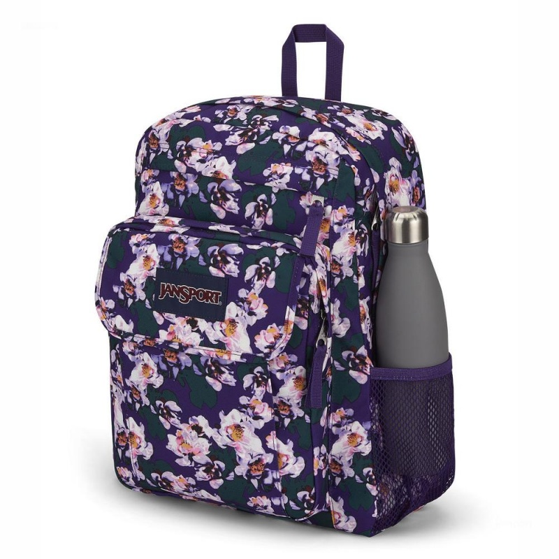 JanSport UNION PACK Ruksaci Laptop Ruksak Ljubičaste | HRQAV88344